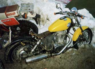 Nettes Rat-Bike